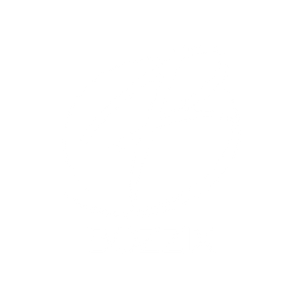 Bozzix